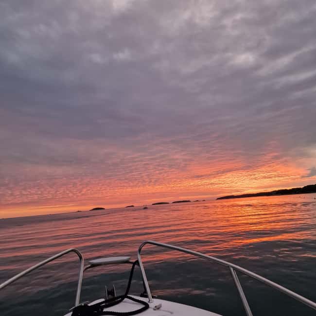 Dolphin private sunset tour Rovinj - The return ride and Rovinj after dark