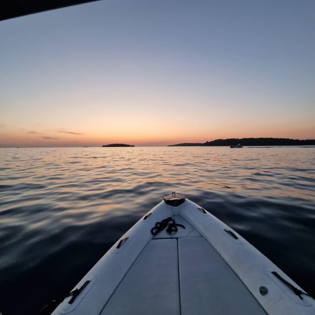 Dolphin private sunset tour Rovinj - Value, comfort, and the limits of the outing