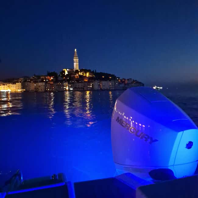 Dolphin private sunset tour Rovinj - Who will enjoy this private sunset ride
