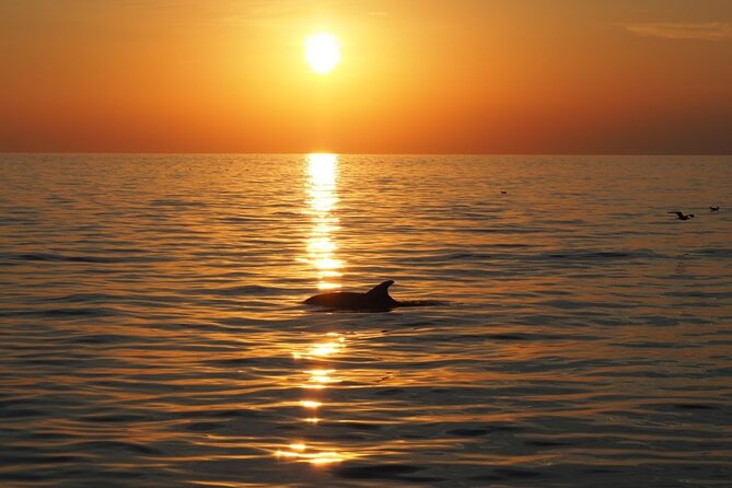 Dolphin Sunset Adventure with Speedboat - The speedboat ride in changing weather