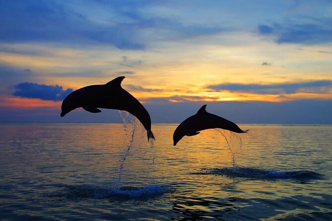 Dolphin Sunset Adventure with Speedboat - Sunset over the dolphin route