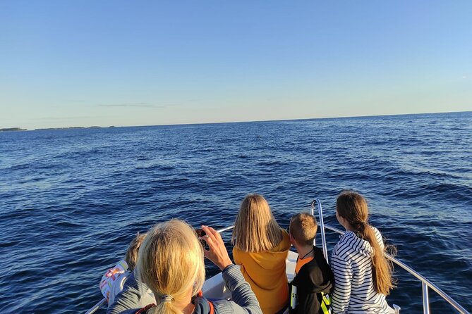 Dolphin Sunset Adventure with Speedboat - Guides Peter, Matteo, and the local touch
