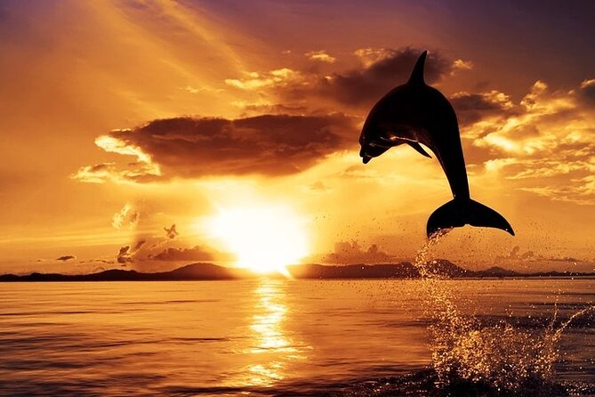 Dolphin Watching & Sunset Boat Tour With Dinner and Drinks - Crossing Into Brijuni National Park