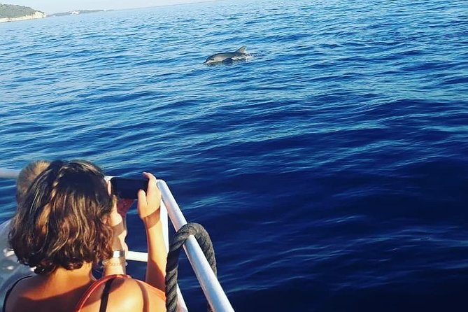 Dolphin Watching & Sunset Boat Tour With Dinner and Drinks - Veliki Brijun and Ancient Remains
