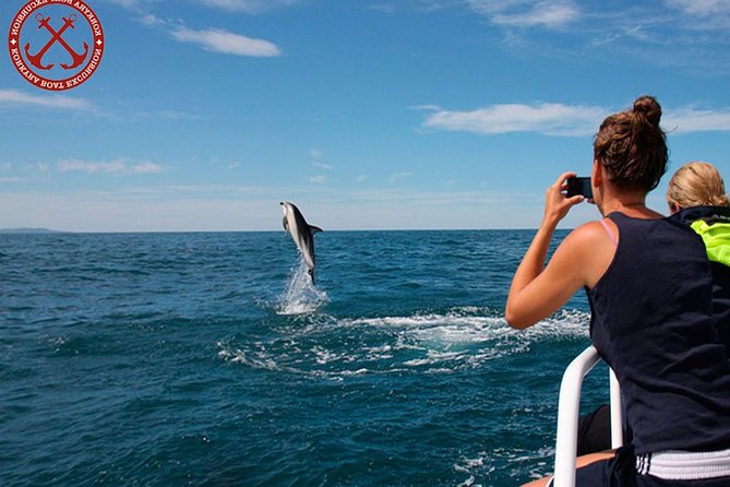 Dolphins Watching in the National Park Brijuni from Pula - Setting sail from Riva 14 at 5:30 pm