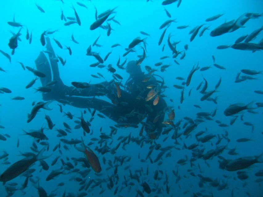 Dubrovnik: 1-Day Diving Package - Why Dubrovnik works so well for underwater exploration