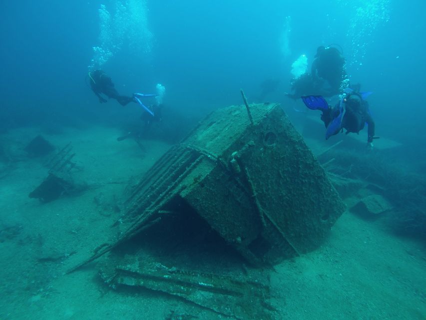 Dubrovnik: 1-Day Diving Package - What the marine life can add to the day