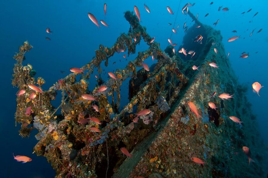 Dubrovnik: 1-Day Diving Package - Your 9:00 morning check-in and equipment fitting