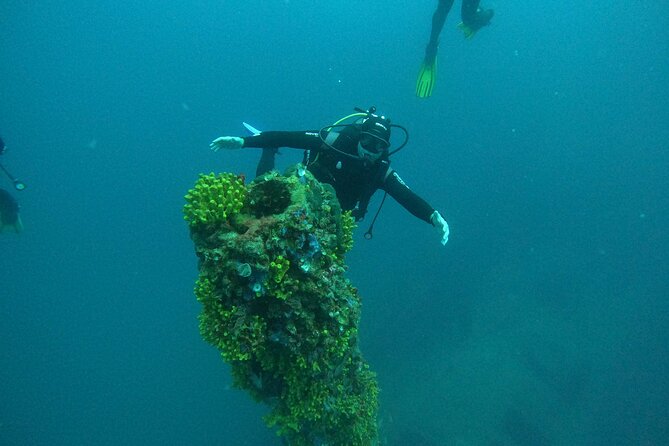 Dubrovnik 1 Dive for Certified Divers - The safety briefing and the calm underwater pace
