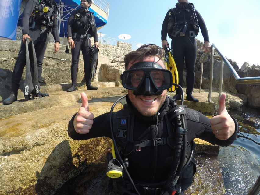 Dubrovnik 2-Hour Uncertified Divers Introductory Dive - What you might see around the reef