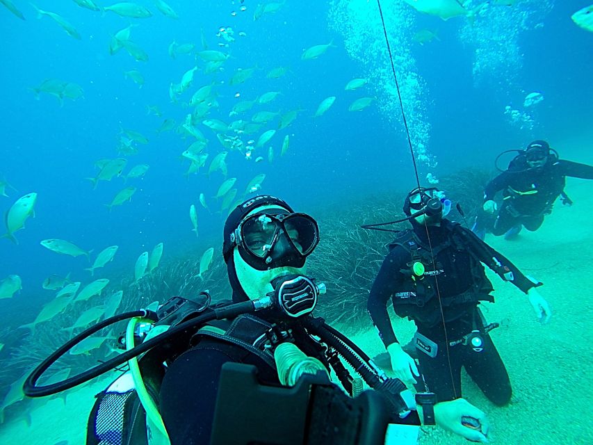 Dubrovnik 2-Hour Uncertified Divers Introductory Dive - Booking flexibility and the meeting plan