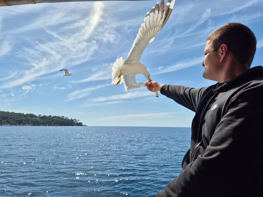 Dubrovnik: 3 Island Boat Tour with Lunch and Guide - Koločep: the best stop for a swim