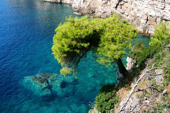 Dubrovnik: 3 Islands Boat Tour with Lunch & drinks(FR, ES, EN) - Lunch, drinks, and the quality of service