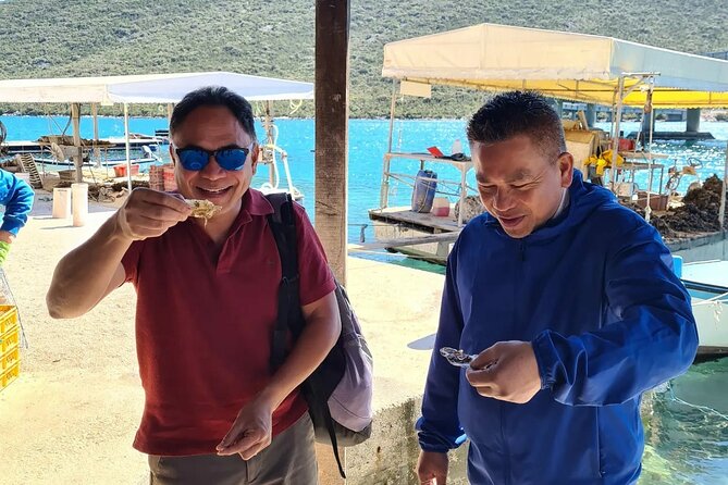Dubrovnik Airport to Split Private transfer 1-8 pax (Door to Door any location) - Ston and Mali Ston: the best food stop option