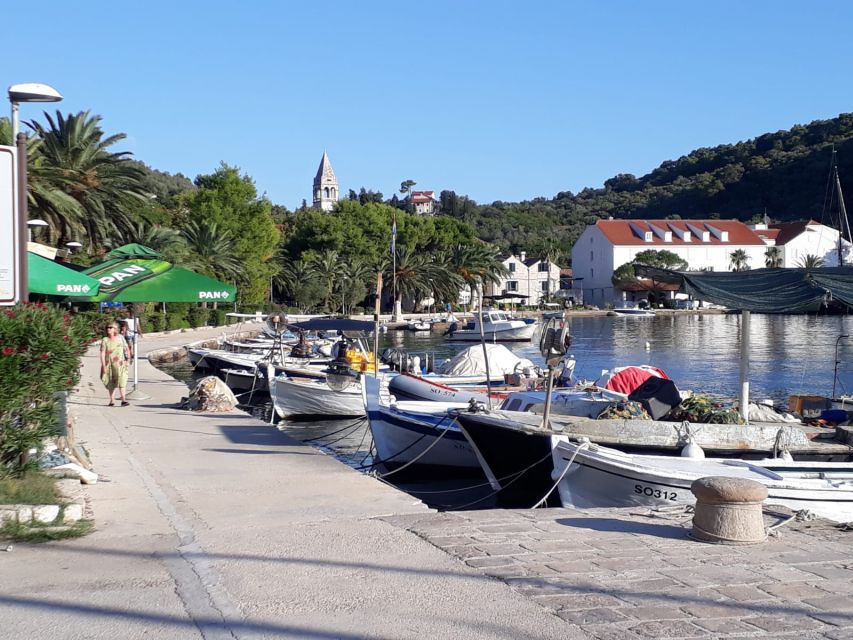 Dubrovnik: All-inclusive Islands and Caves Private Boat Tour - Your skipper makes the biggest difference