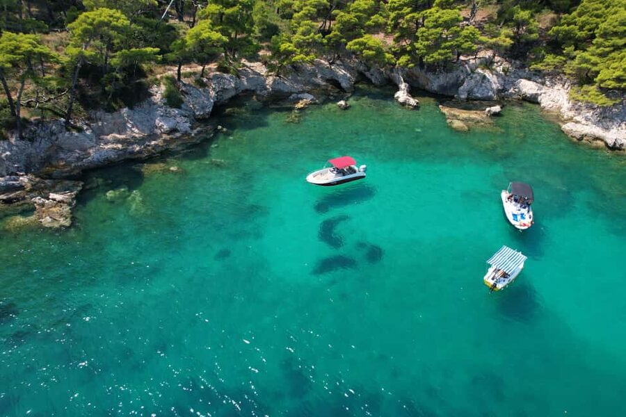 Dubrovnik: All-inclusive Islands and Caves Private Boat Tour - The Blue Cave: a short swim into another world