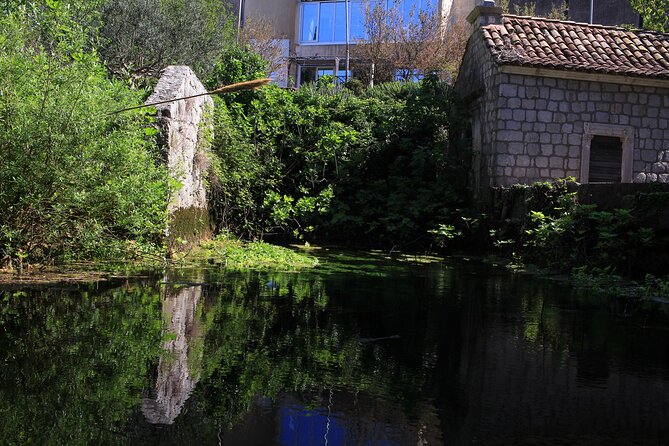 Dubrovnik: Best views Sightseeing Tour - Guides make or break the experience