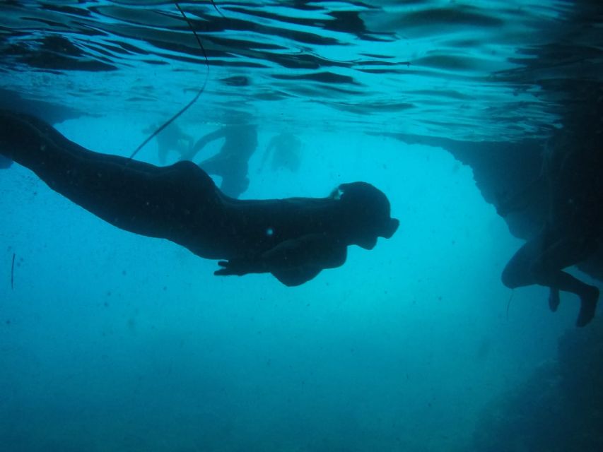 Dubrovnik: Blue Cave & Sunj Beach Boat Tour with Drinks - A quick escape from Dubrovnik’s stone streets