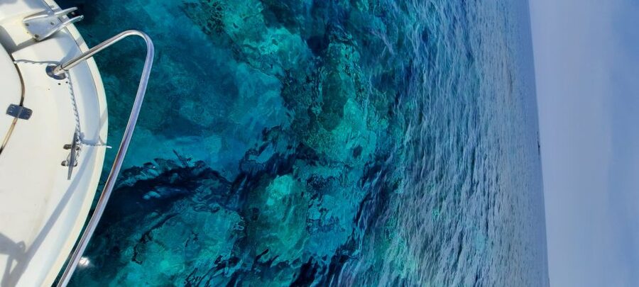 Dubrovnik: Blue Cave Tour by Speedboat - Swimming into the Blue Cave at Koločep