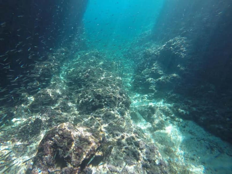 Dubrovnik: Blue Cave Tour by Speedboat with Small Group - What the speedboat ride feels like