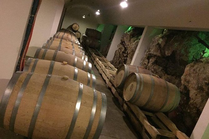 Dubrovnik Bosnia-Herzegovina Half-Day Wine Tour with Tastings - From Dubrovnik to Trebinje in half a day