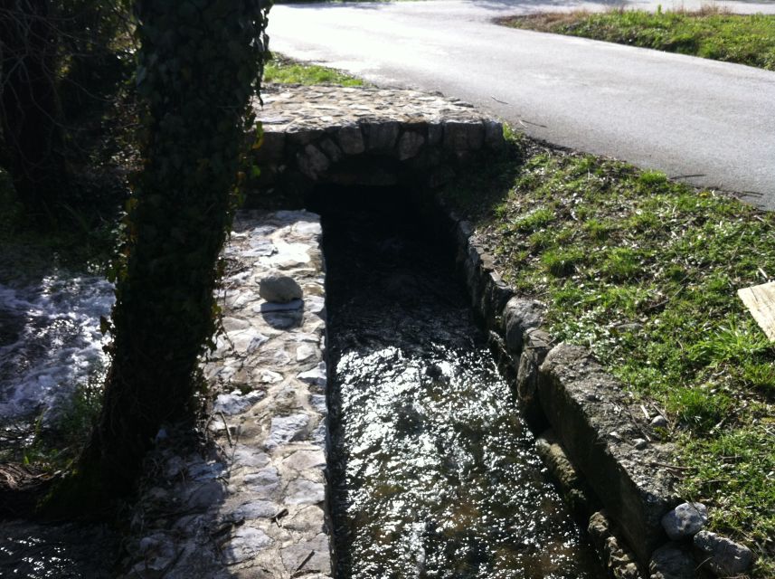Dubrovnik: Cavtat and Konavle Half-Day Private Tour - Is Cavtat and Konavle worth $164?