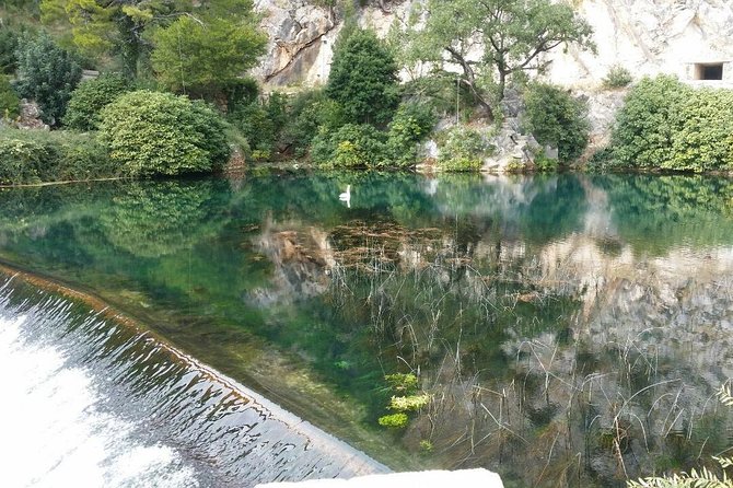Dubrovnik City Tour: Panorama Drive & Sightseeing Walk - The Ombla River is short, scenic, and unusual