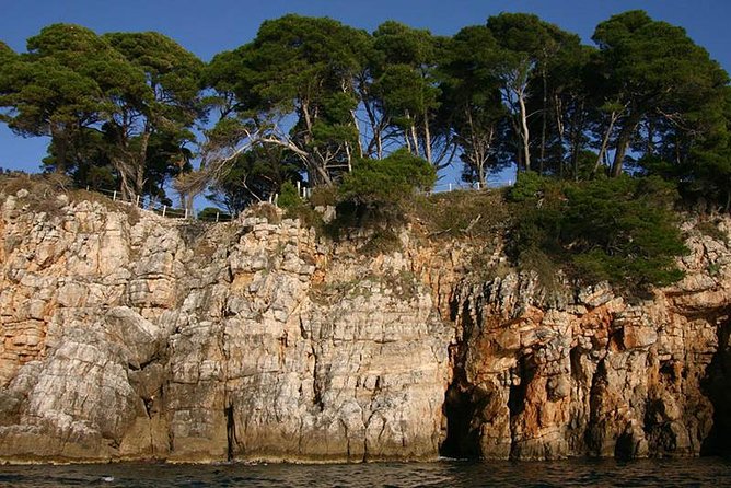 Dubrovnik Elafiti Islands Cruise with Lunch, Drinks and Pickup - Šipan and Suđurađ: a quieter waterfront stop
