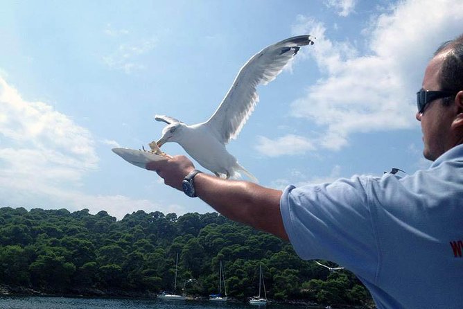 Dubrovnik Elafiti Islands Cruise with Lunch, Drinks and Pickup - Boat comfort, group size, and the feel on board