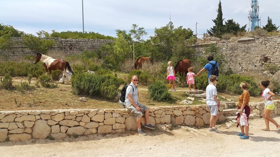Dubrovnik: Game of Thrones Locations Driving Tour - Why this tour works for Game of Thrones fans