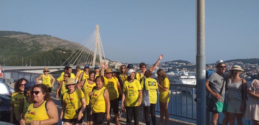 Dubrovnik: Guided Sightseeing Tour by Minivan - Franjo Tuđman Bridge and Lapad photo time