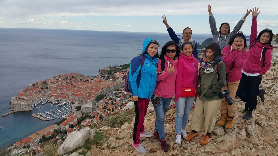 Dubrovnik: Guided Sightseeing Tour by Minivan - Meeting your driver at Port Gruž or Pile Gate