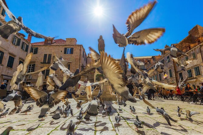 Dubrovnik Guided Tour & Free Time From Makarska Riviera - A one-hour introduction inside Dubrovnik