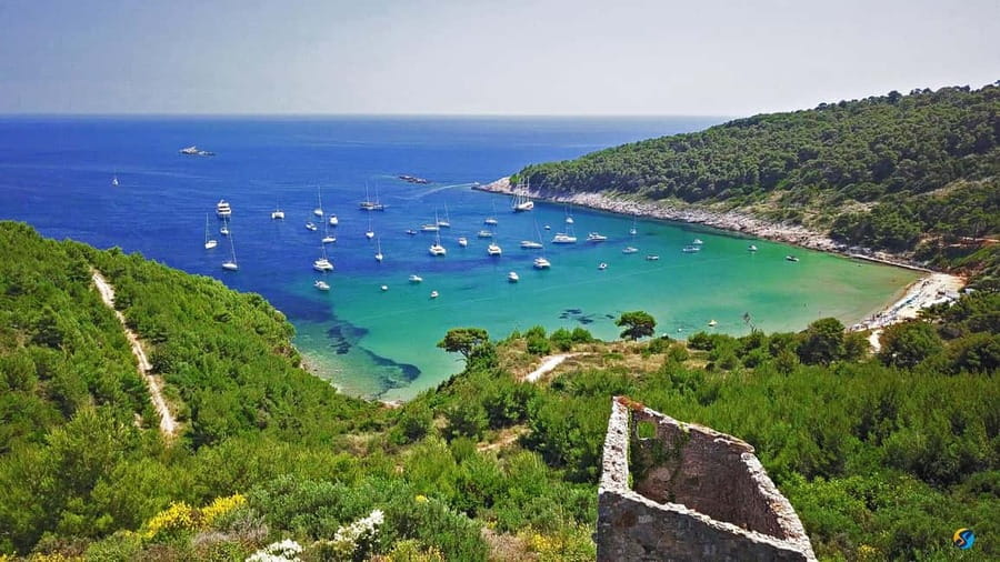 Dubrovnik: Half-Day Boat Tour to Elaphite Islands 4h - Who should book this island tour?