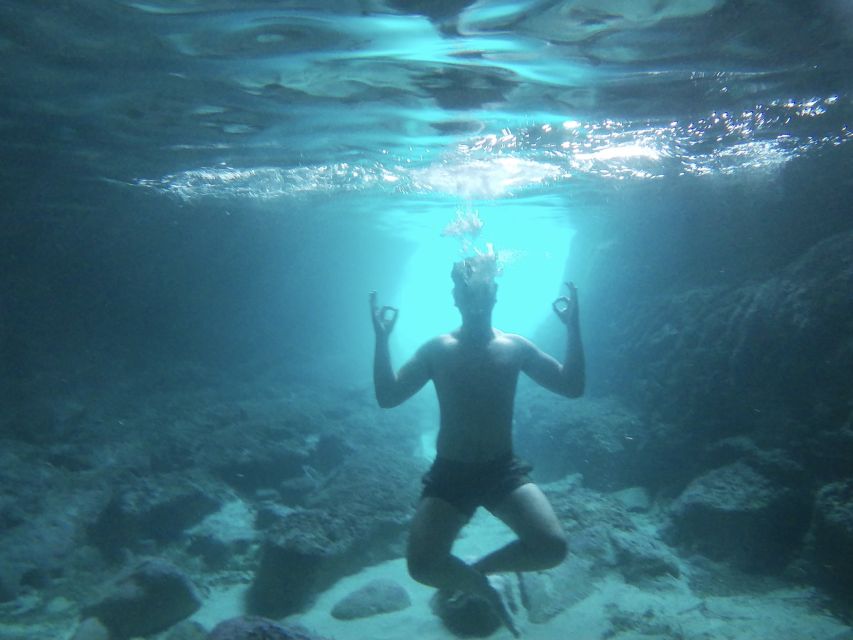 Dubrovnik: Half-Day Private Boat Trip to Elafiti Islands - Price, timing, and what to pack