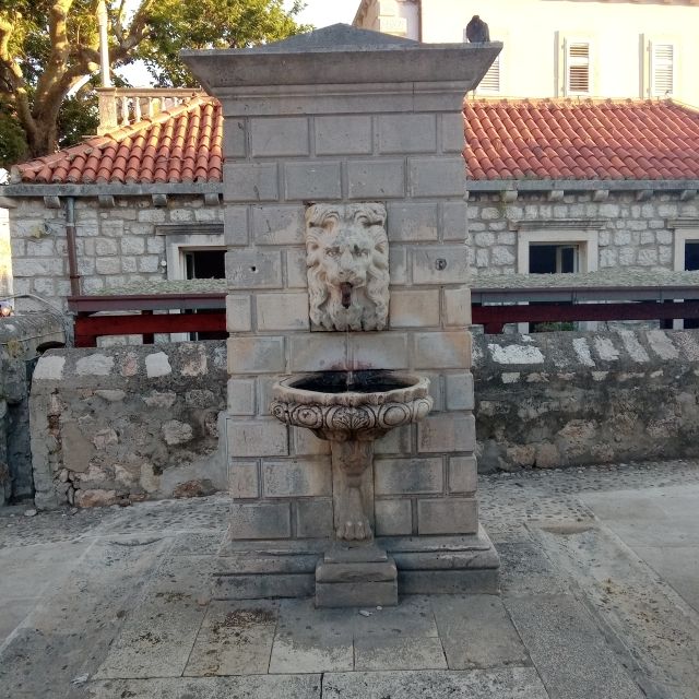 Dubrovnik: Historical Tour with Game of thrones details - What guides Dorotea and Tea add