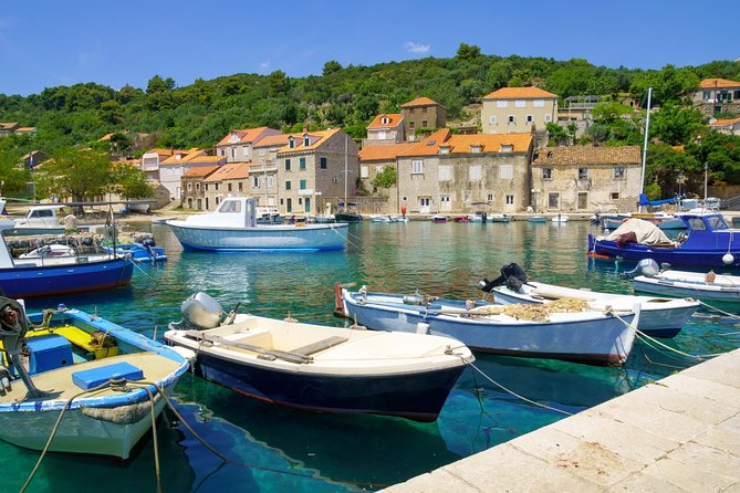 Dubrovnik Island-Hopping Cruise in the Elaphites with Lunch - Koločep: citrus gardens, pine trees, and a short walk