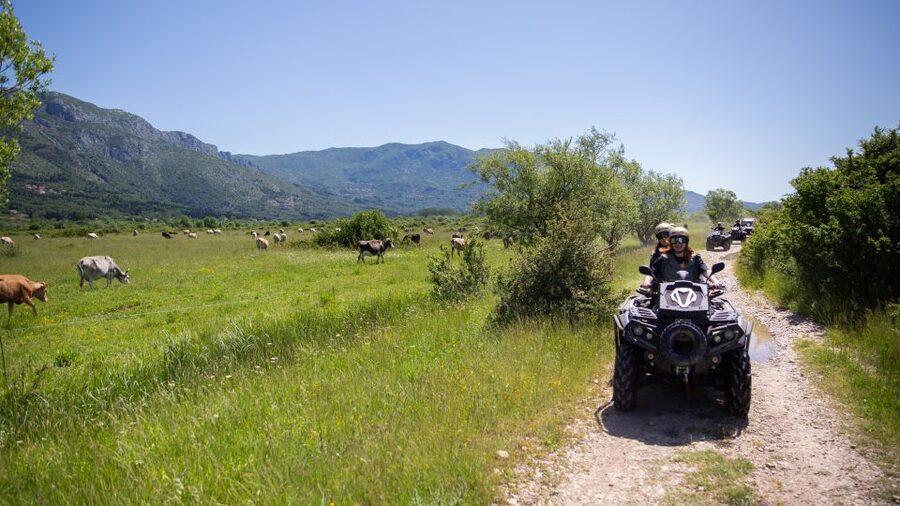 Dubrovnik: Kojan Koral ATV Quad Safari with transport - Booking, cancellation, and group details