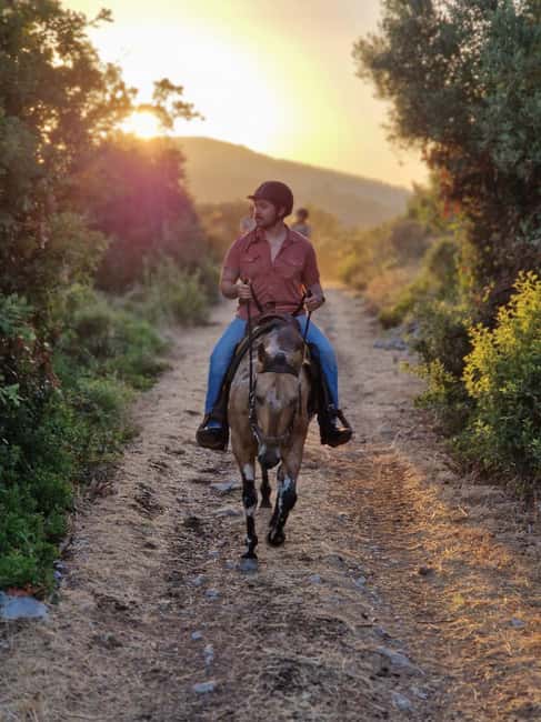 Dubrovnik Kojan Koral: Horseback Riding - Key points at a glance