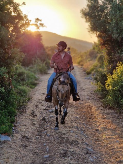Dubrovnik Kojan Koral: Horseback Riding - Leaving Dubrovnik for the Konavle Valley