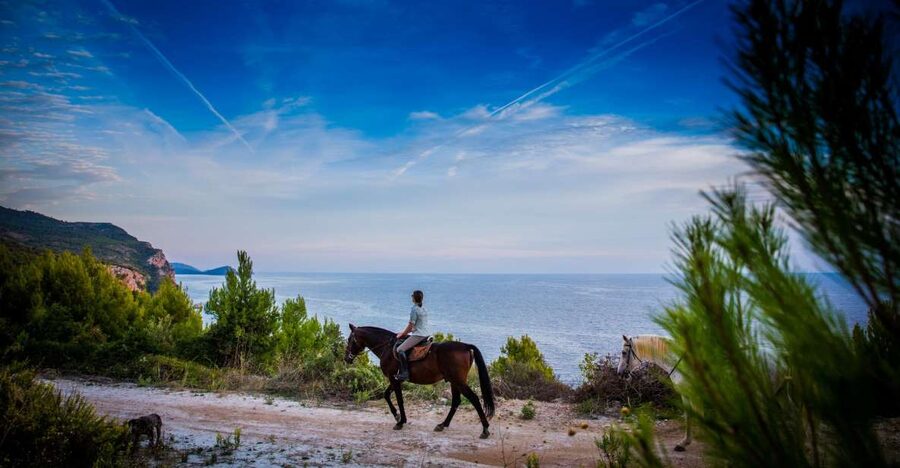 Dubrovnik Kojan Koral: Horseback Riding - Two hours through woodland and coastal tracks