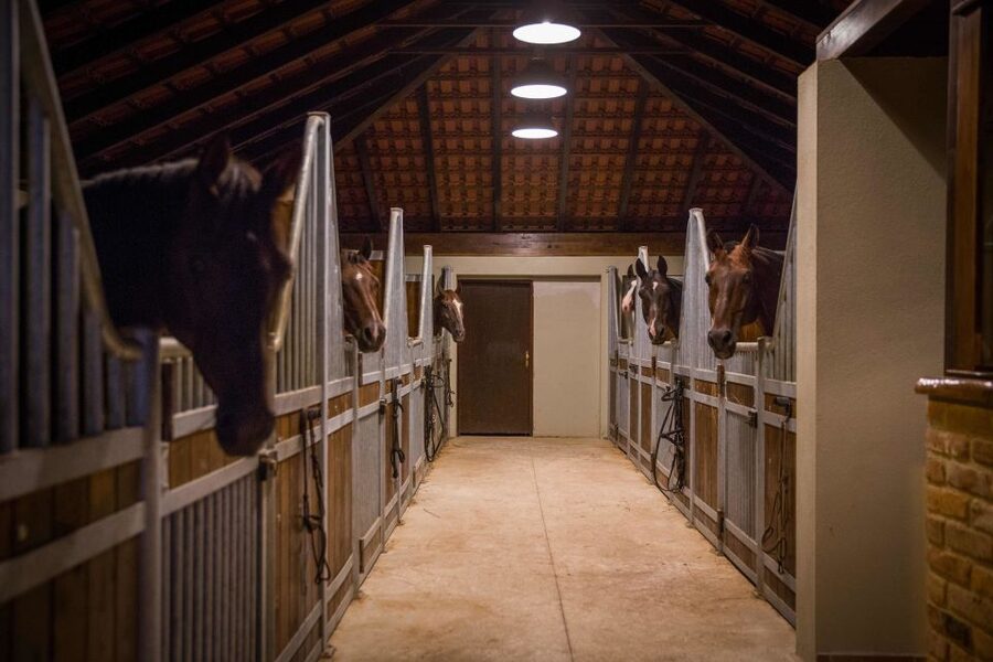 Dubrovnik Kojan Koral: Horseback Riding - Sandwiches, wine, and time at the ranch