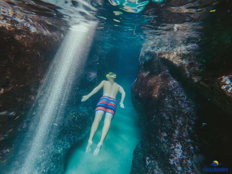 Dubrovnik: Morning Blue Cave speedboat tour with drinks - Koločep’s Blue Cave, the first swim
