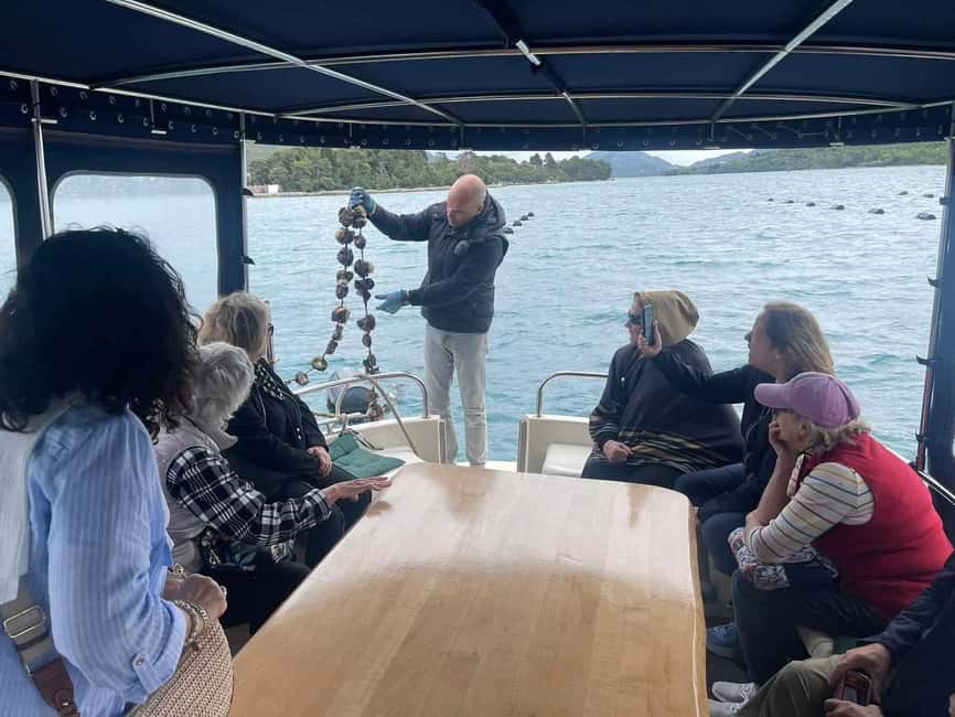 Dubrovnik: Oyster, Mussles, and Wine Tasting Tour in Ston - Is the $176 Price Fair?