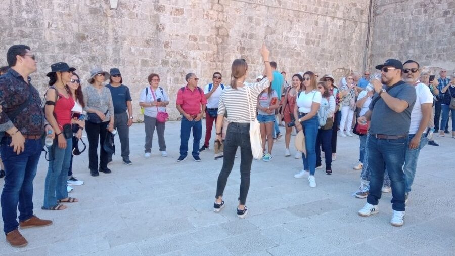 Dubrovnik: Panoramic Ride and Old Town Guided Walking Tour - Cruise-port pickup, hotels, and meeting points