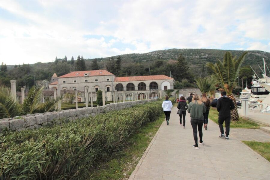 Dubrovnik: Private Cooking Experience with Wine Tasting - Cooking lunch at the Majkovi farmhouse