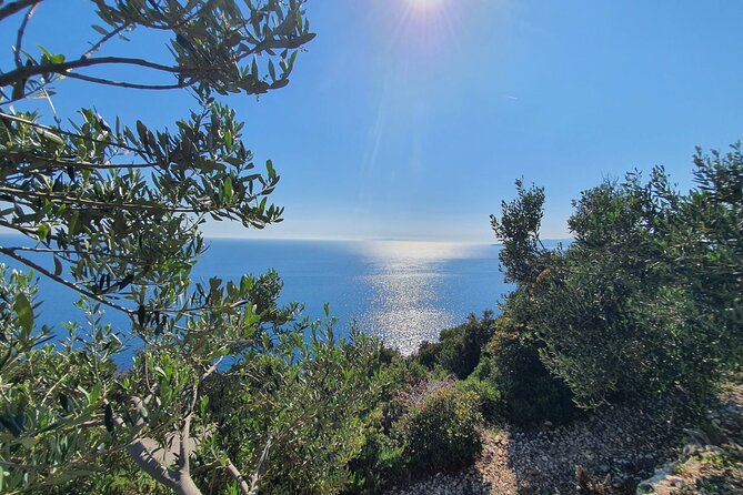 Dubrovnik Private Wine Tasting Tour to Peljesac Peninsula - Why this makes a strong wine day from Dubrovnik