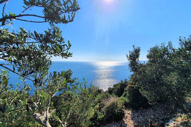 Dubrovnik Private Wine Tasting Tour to Peljesac Peninsula - Trstenik is the day’s breathing space
