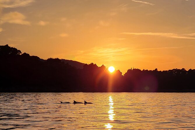 Dubrovnik Romantic Sunset Boat Tour - The Elaphite Islands from the water
