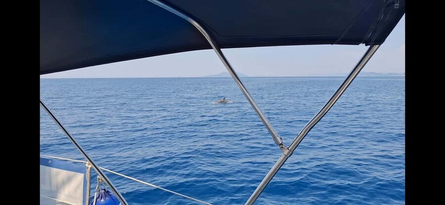 Dubrovnik yacht cruise-Elafity islands & Blue cave - Comfort, language, and practical limits